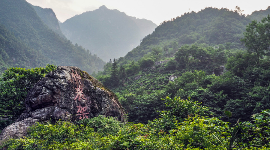 華中旅游