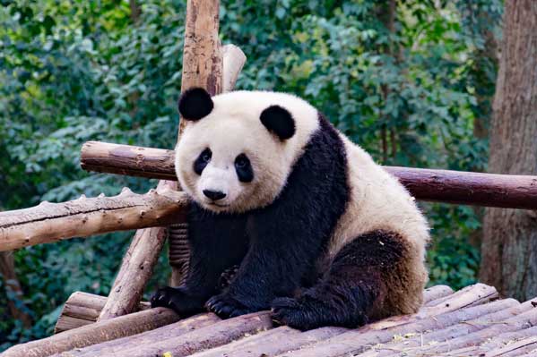廣州旅游