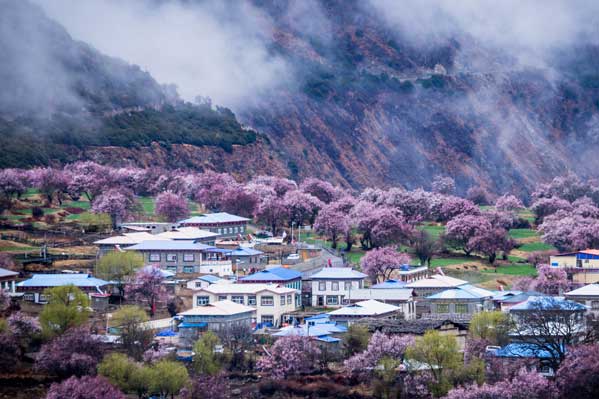 西南旅游