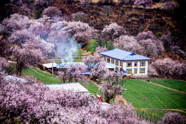 西藏旅游