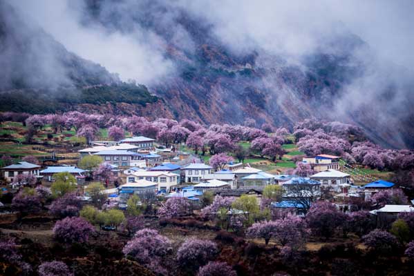 西藏旅游