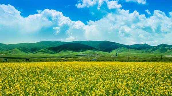 華南旅游