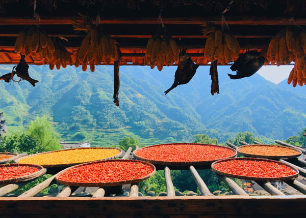 國內旅游