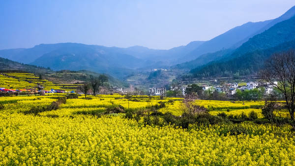 國(guó)內(nèi)旅游