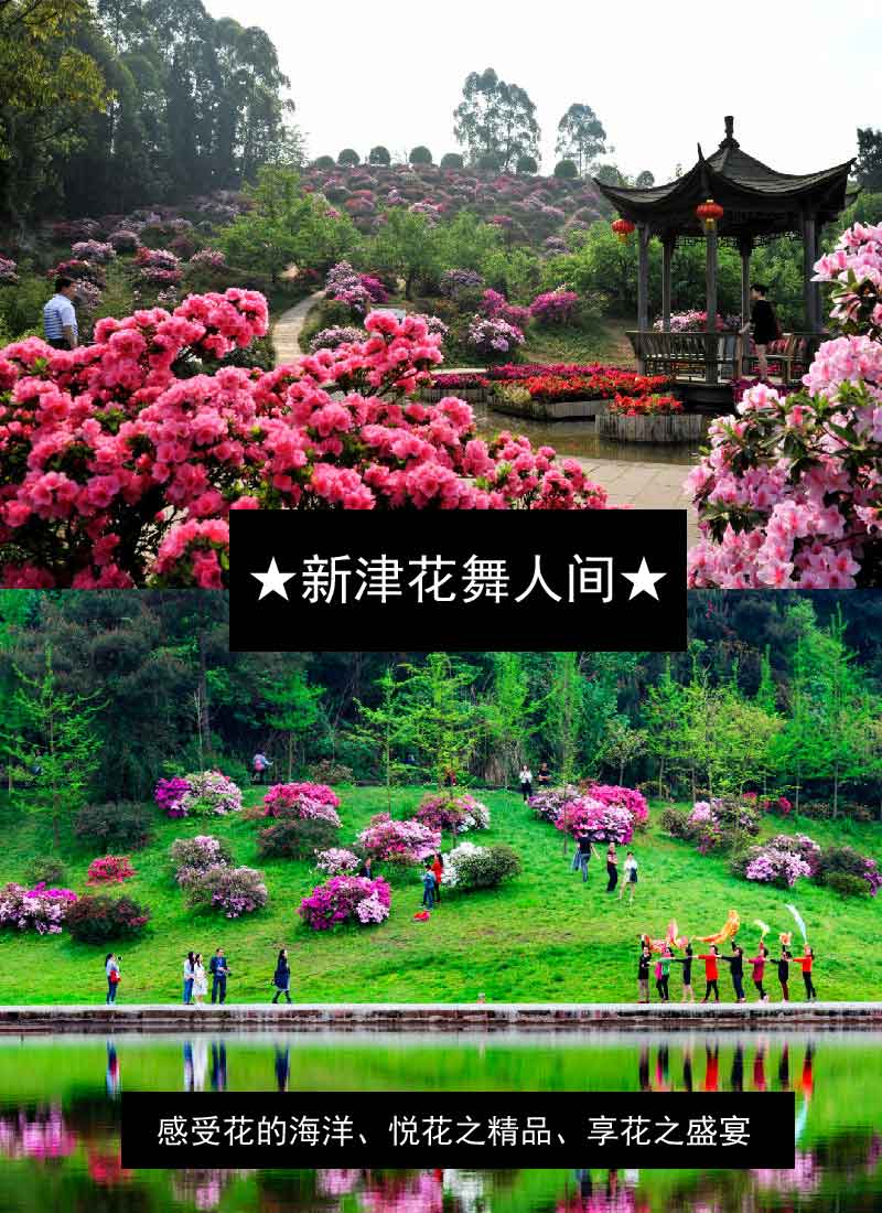 西南旅游