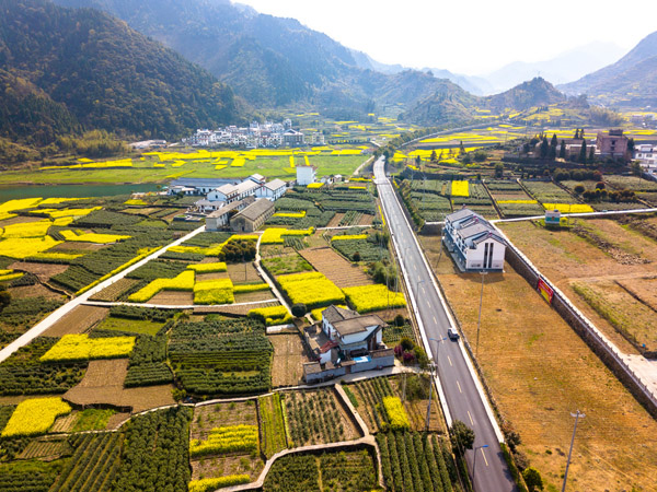 國(guó)內(nèi)旅游