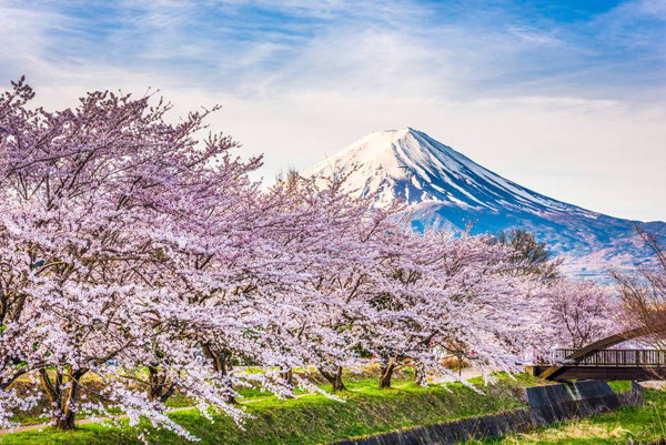 日本旅游