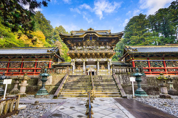 國際郵輪旅游