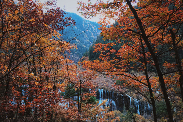 西南旅游