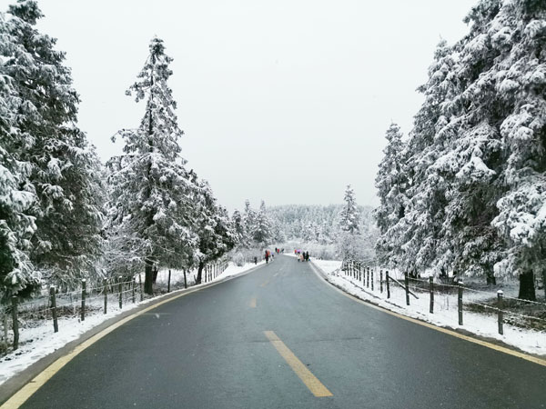 重慶旅游