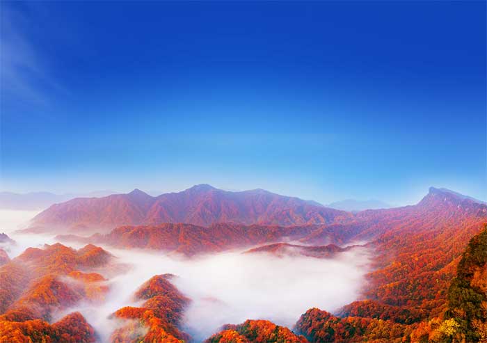 西南旅游