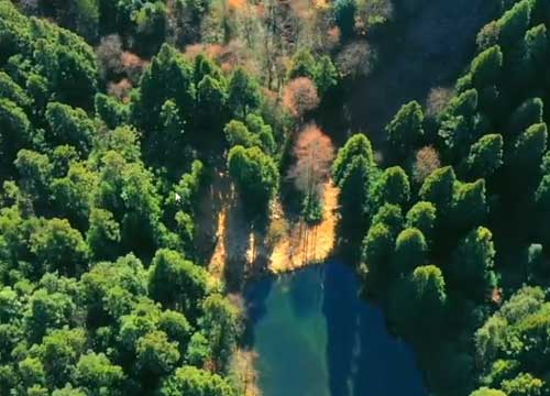 湖北旅游