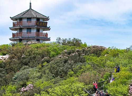 重慶旅游