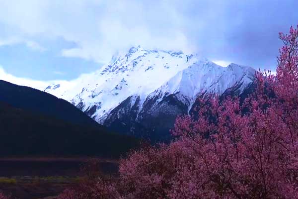 西南旅游