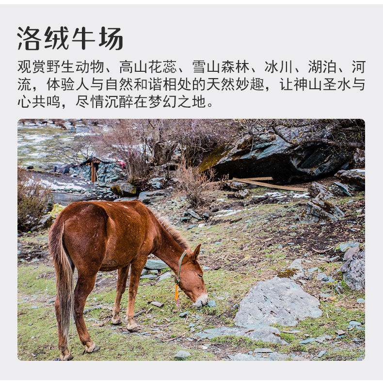 稻城包裝05