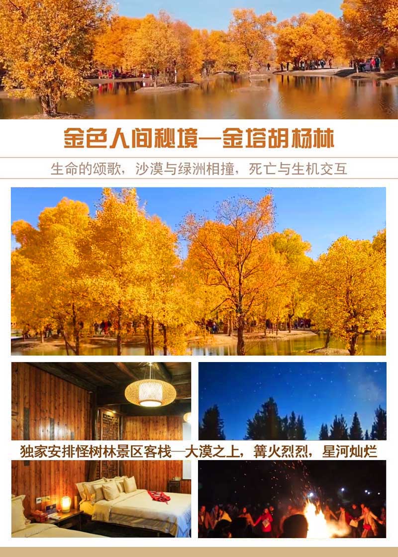 金塔胡楊林廣告設計
